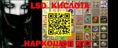 гидра Новозыбков