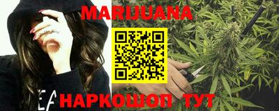 гидра Новозыбков
