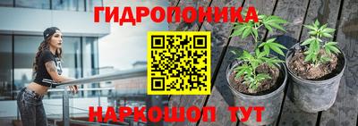 гидра Новозыбков