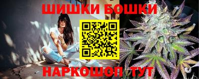 гидра Новозыбков