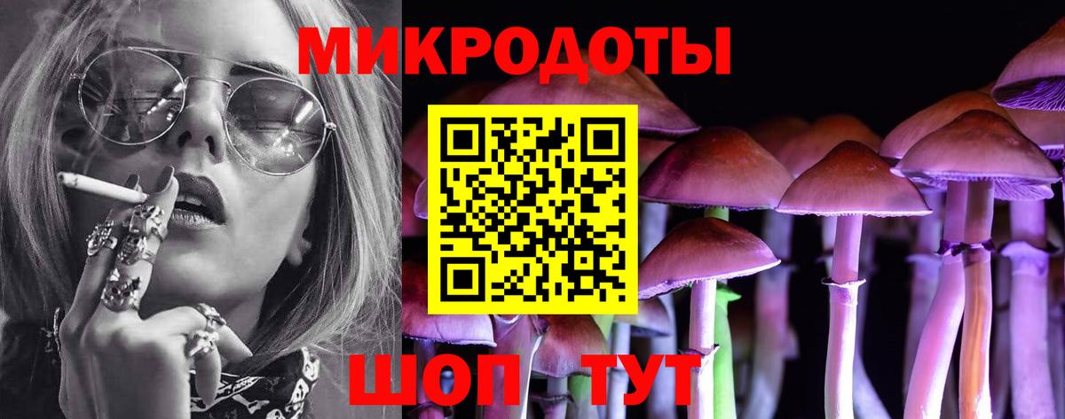 Галлюциногенные грибы Psilocybe  наркота  Истра  Вход с VPN 